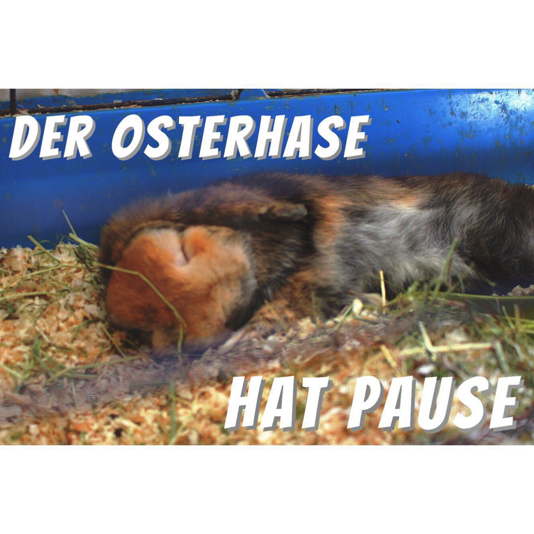 Pause für den Osterhase