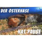 Pause für den Osterhase