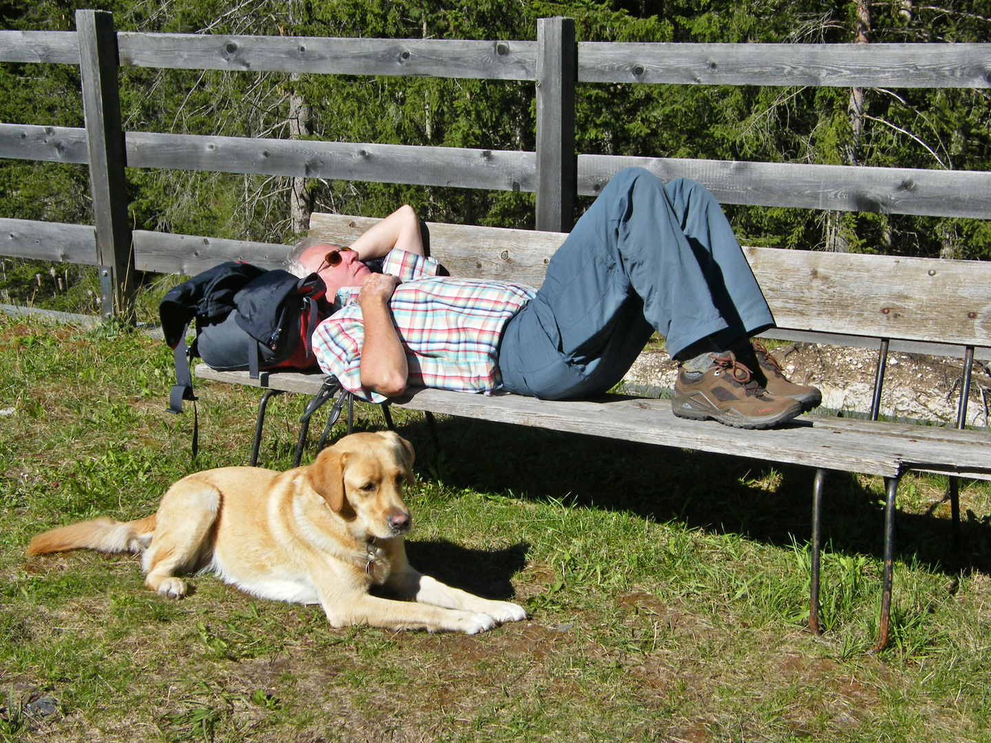 Pause für Mensch und Hund