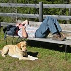 Pause für Mensch und Hund