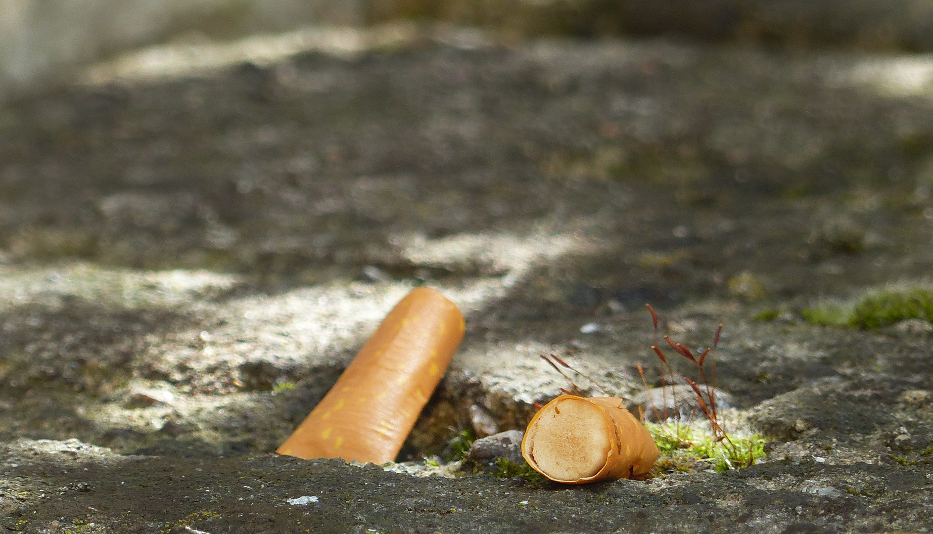 Pause für zwei