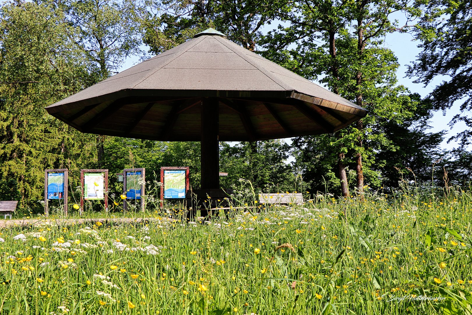 Pause im Grünen