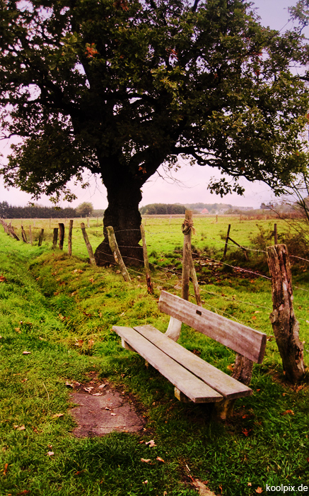 pause im herbst?