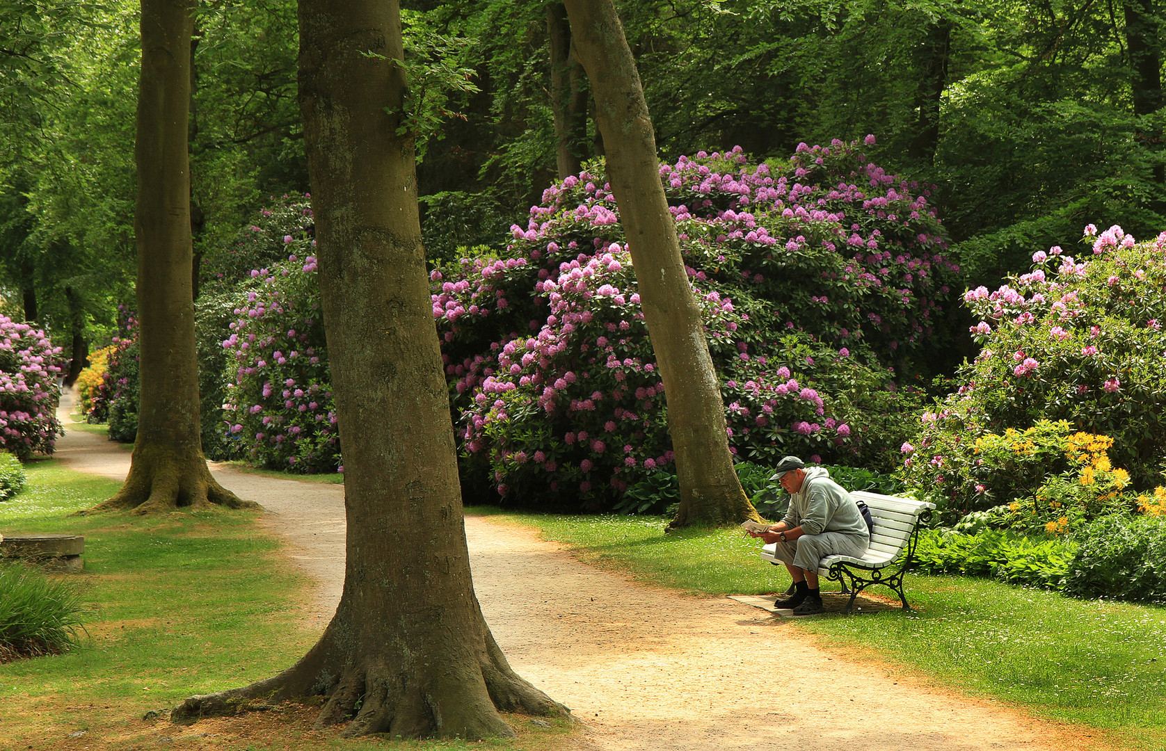 Pause im Park