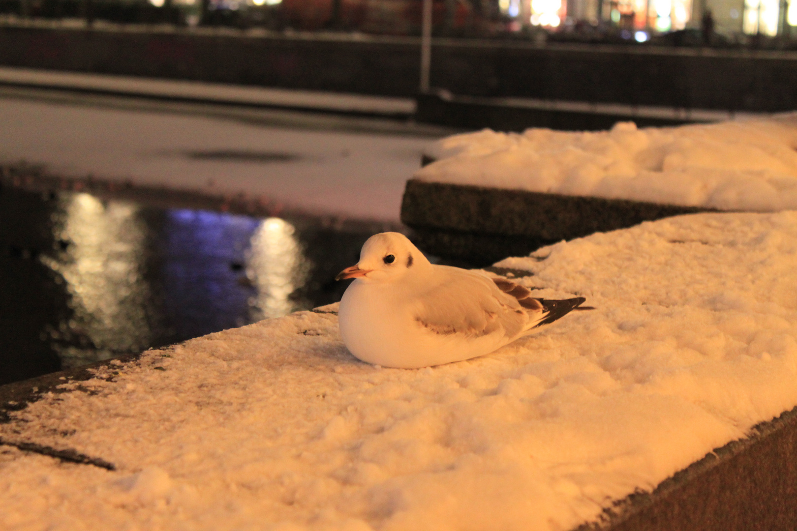 ...Pause im Schnee...