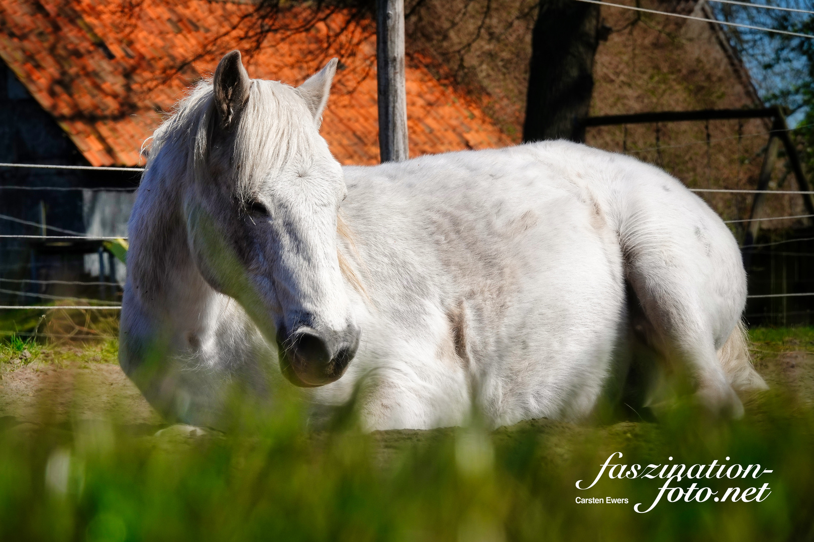 Pause im Sonnenschein