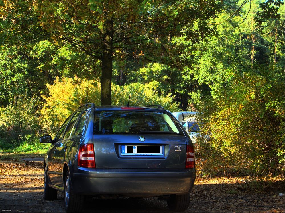 Pause im Wald muss sein