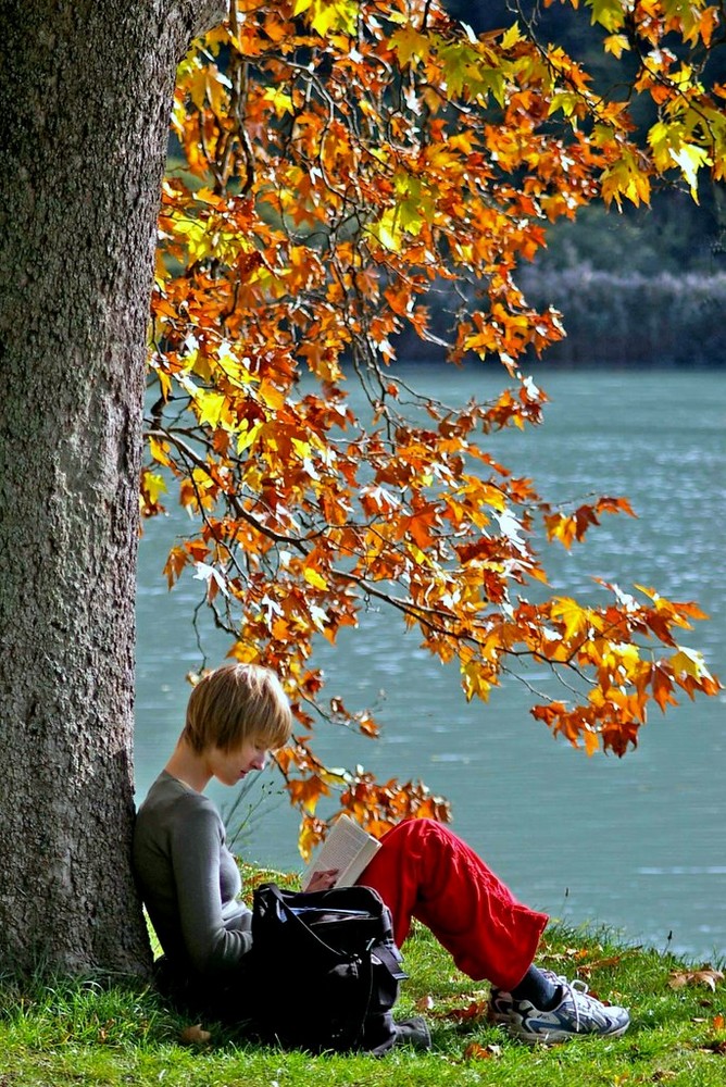 Pause in der Herbstsonne