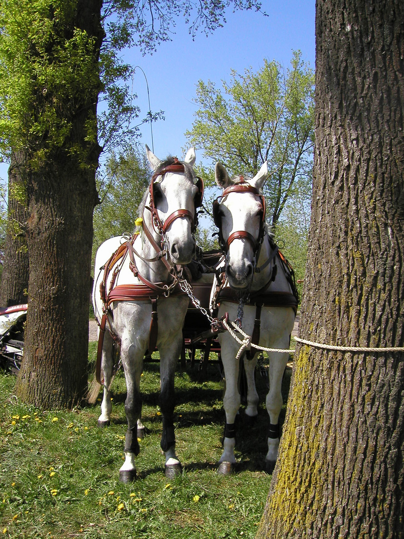 Pause in Wasserhorst