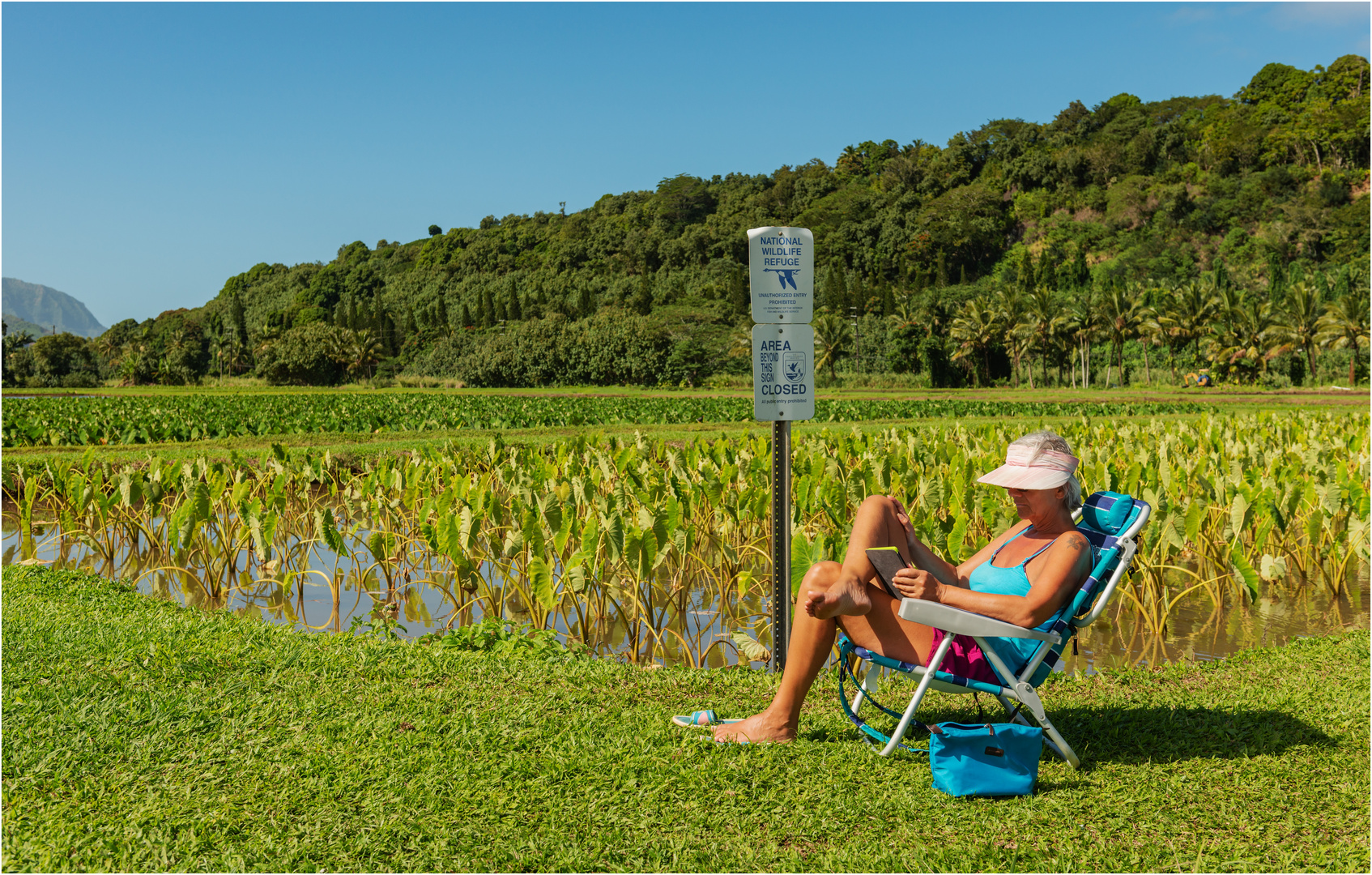 "Pause" - inmitten der Tarofelder im Hanalei Valley, Kauai, Hawaii