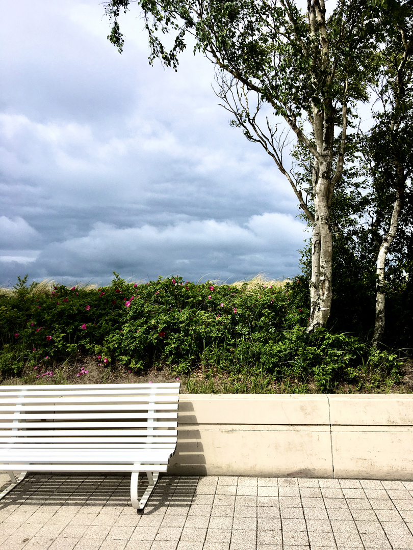 Pause mit Birken- und Wellenrauschen an der Ostsee