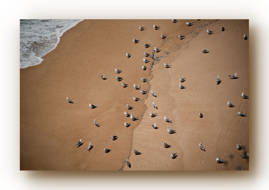 .....Pause .....( Portugal à Nazaré )