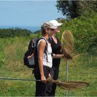 Pause pour chasseuses de papillons