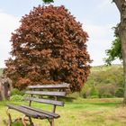 pause sur la citadelle