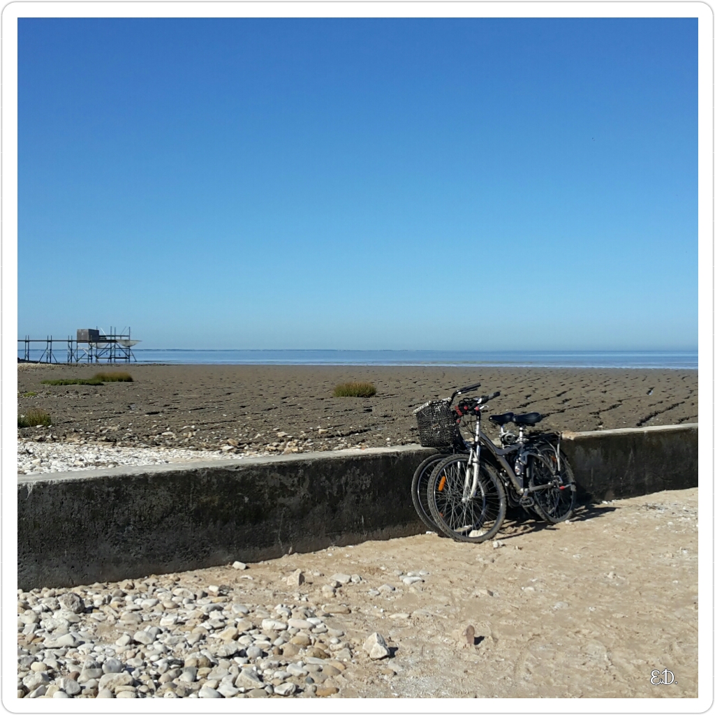 Pause vélos !