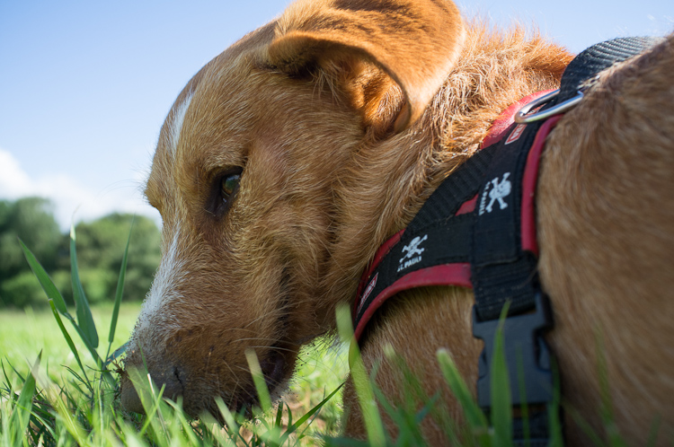 Pause zwischen den Bauarbeiten am Feld