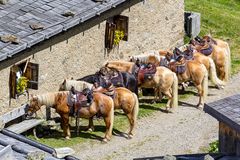 Pausen-Parade