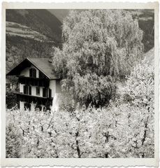 Pausenfoto...Bauernhaus Viums Südtirol...