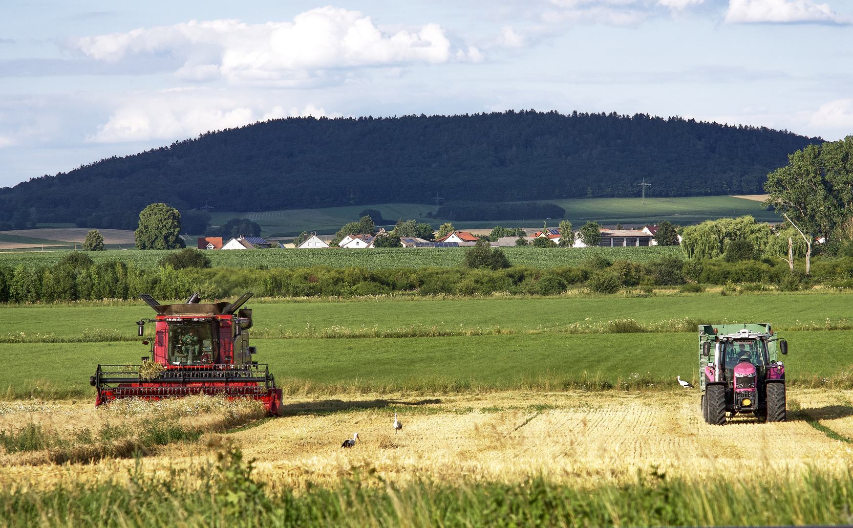 Pausenfüller