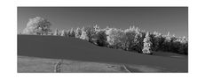 panoramic view b/w