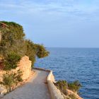 Paved coastal walkway on a summer evening