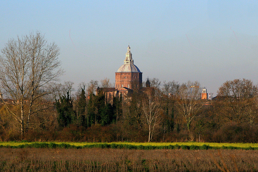 Pavia