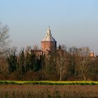 Pavia