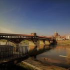 - Pavia  -