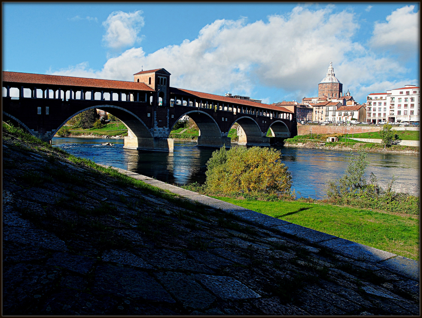 Pavia