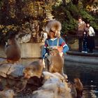 Paviane im Kölner Zoo bei der Fütterung (1985)(2)