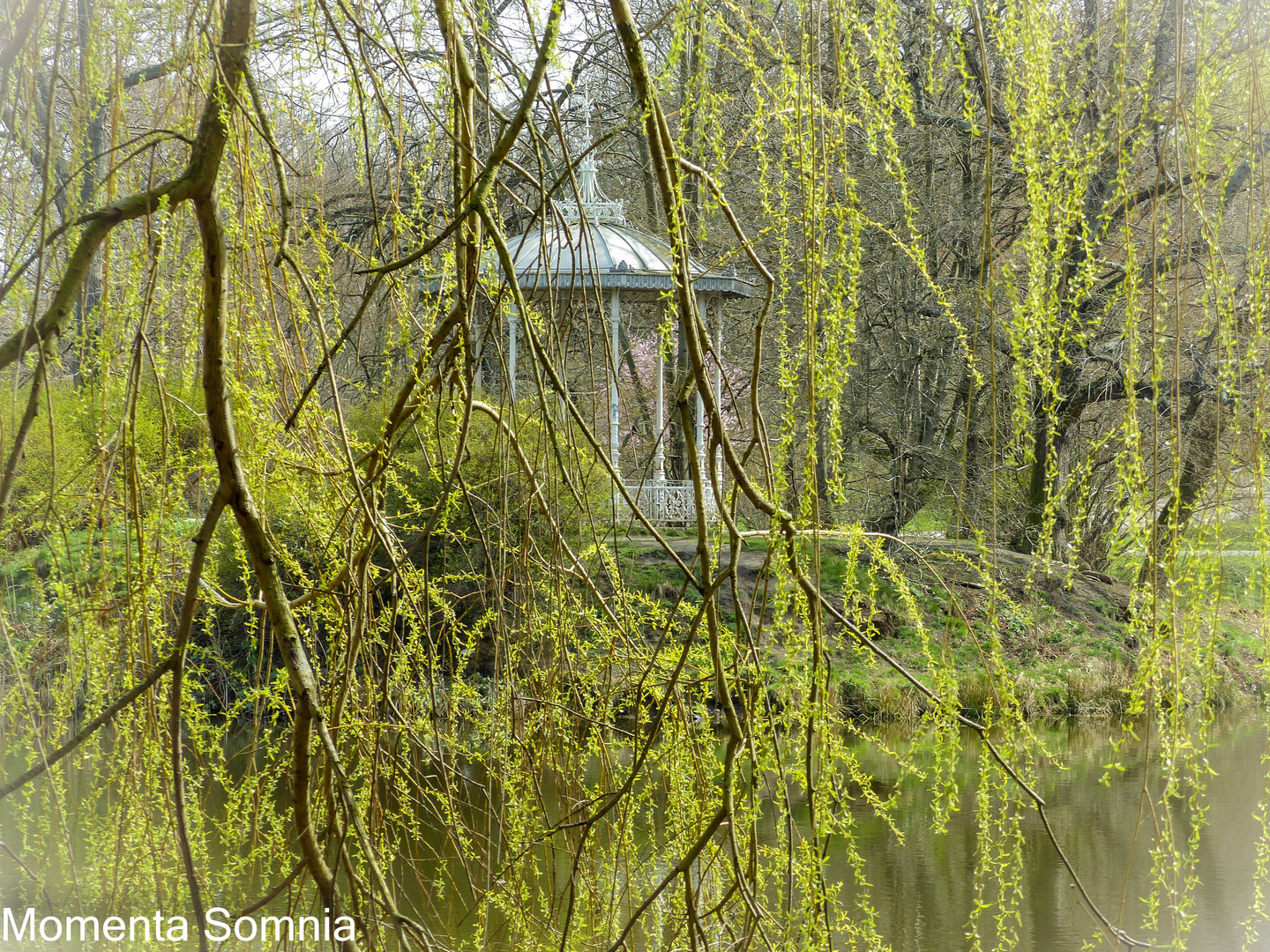 Pavillion im Palmengarten