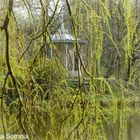 Pavillion im Palmengarten