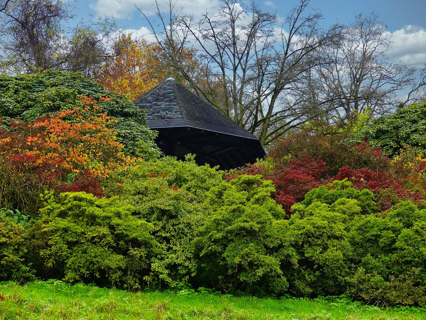 Pavillon