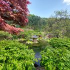 Pavillon im Garden of Morning Calm