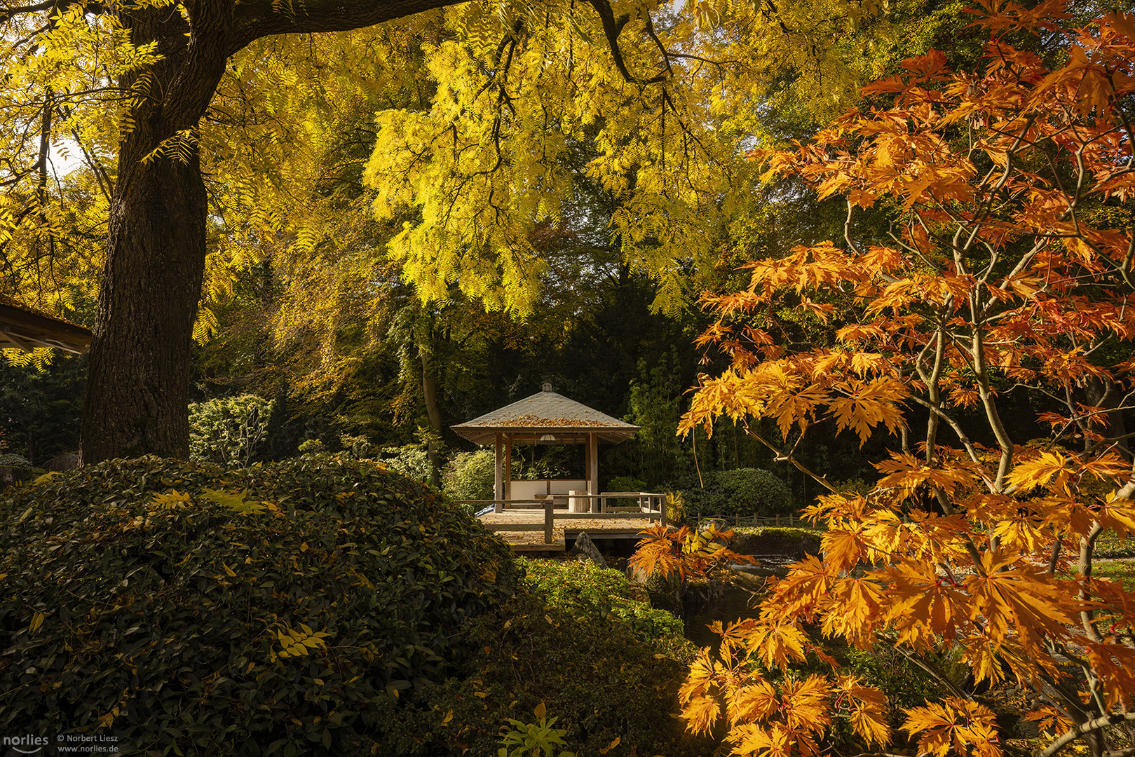 Pavillon im Herbst