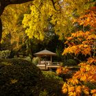 Pavillon im Herbst