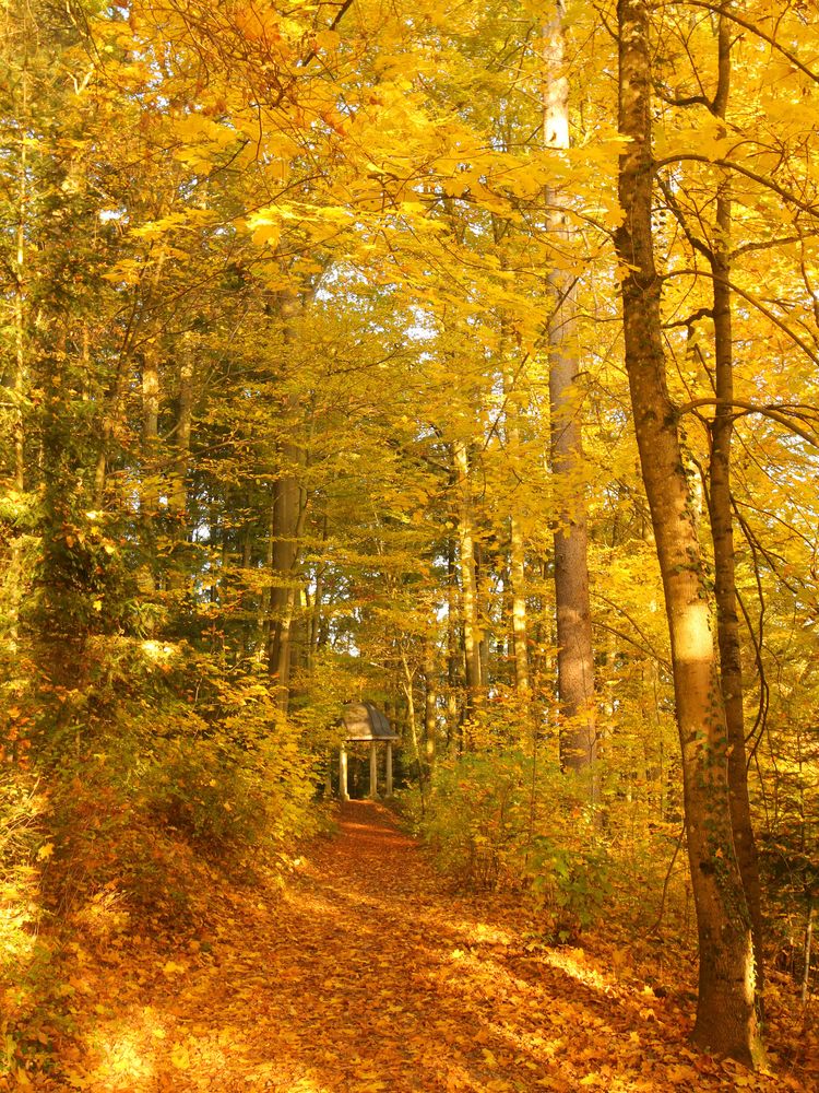 Pavillon im Herbst