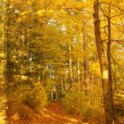 Pavillon im Herbst