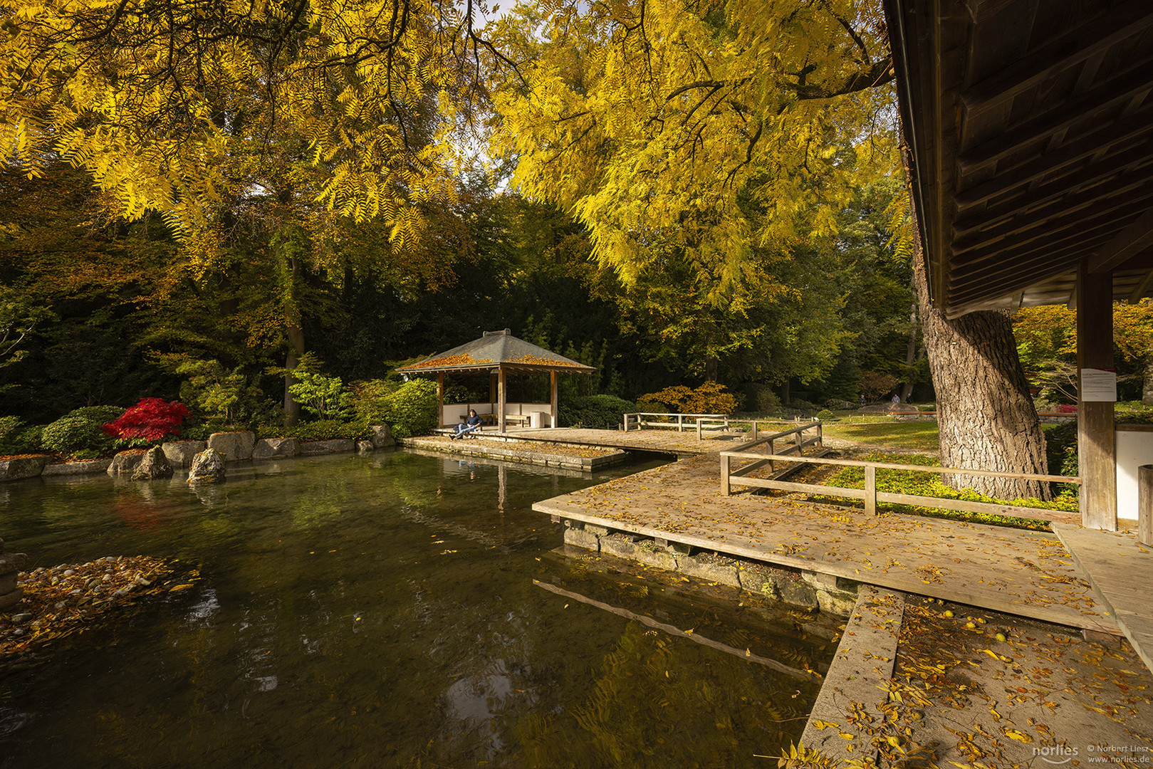 Pavillon im Japangarten