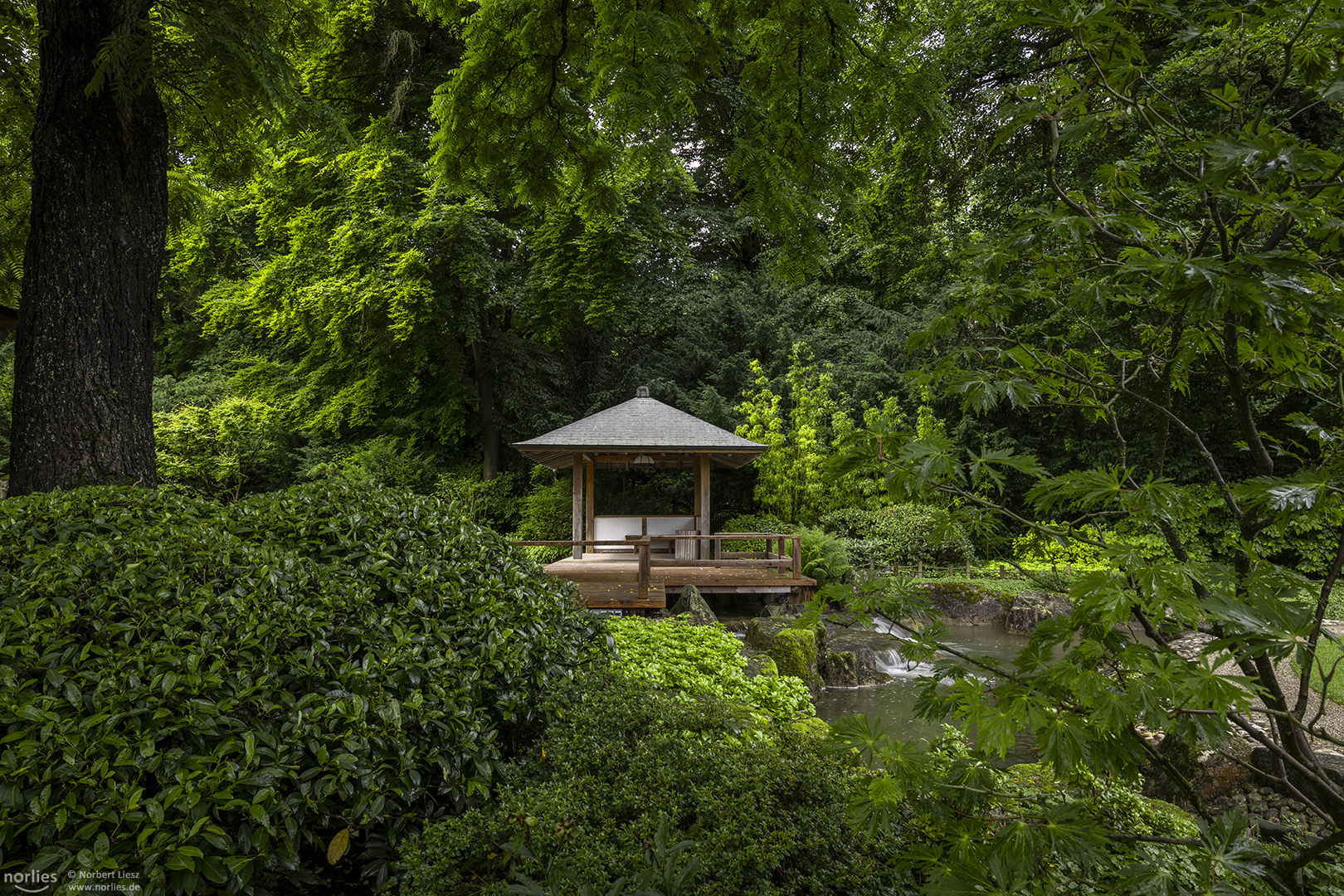 Pavillon im Japangarten