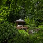 Pavillon im Japangarten