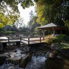 Pavillon im Japangarten