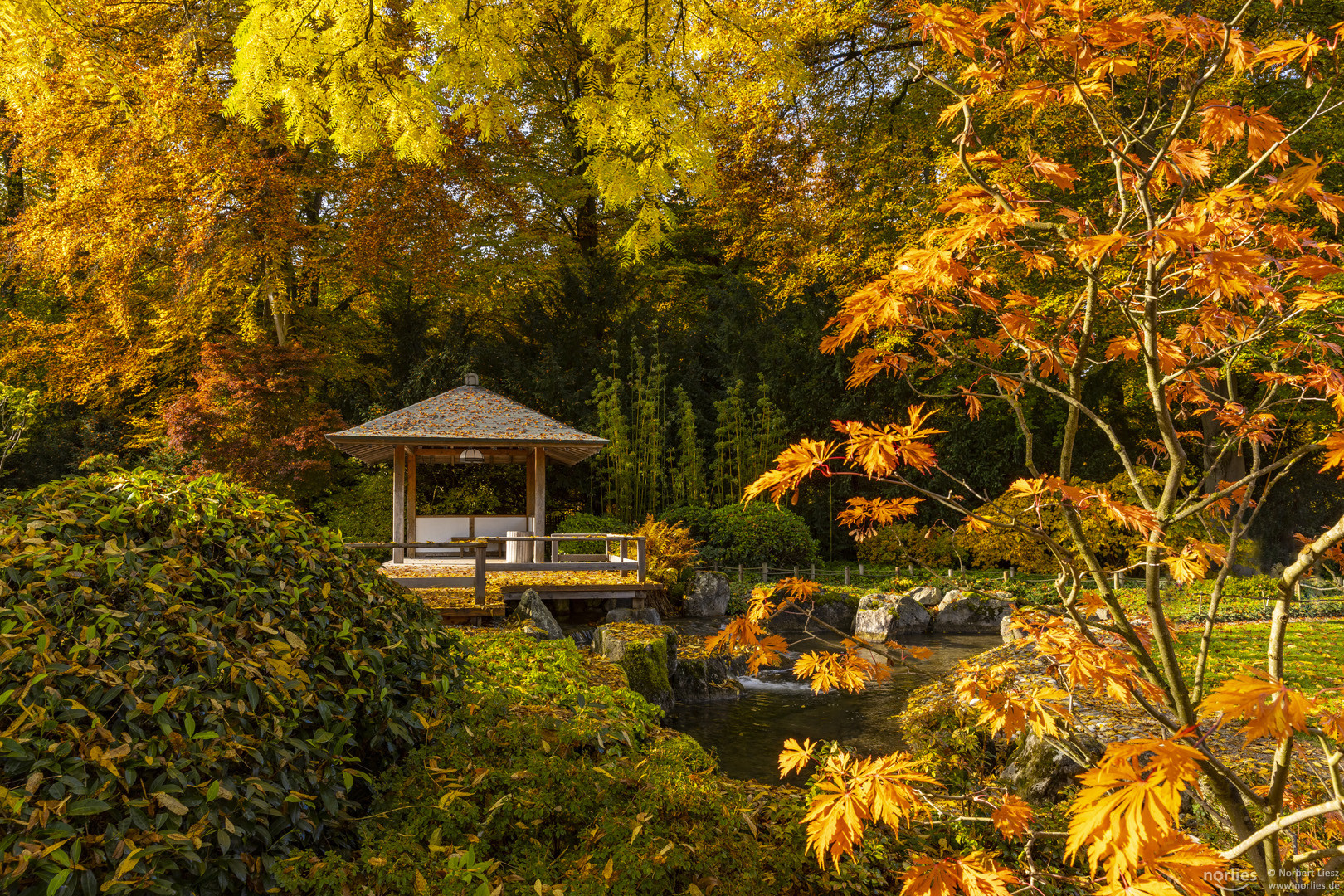 Pavillon im Japangarten