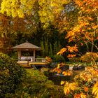 Pavillon im Japangarten