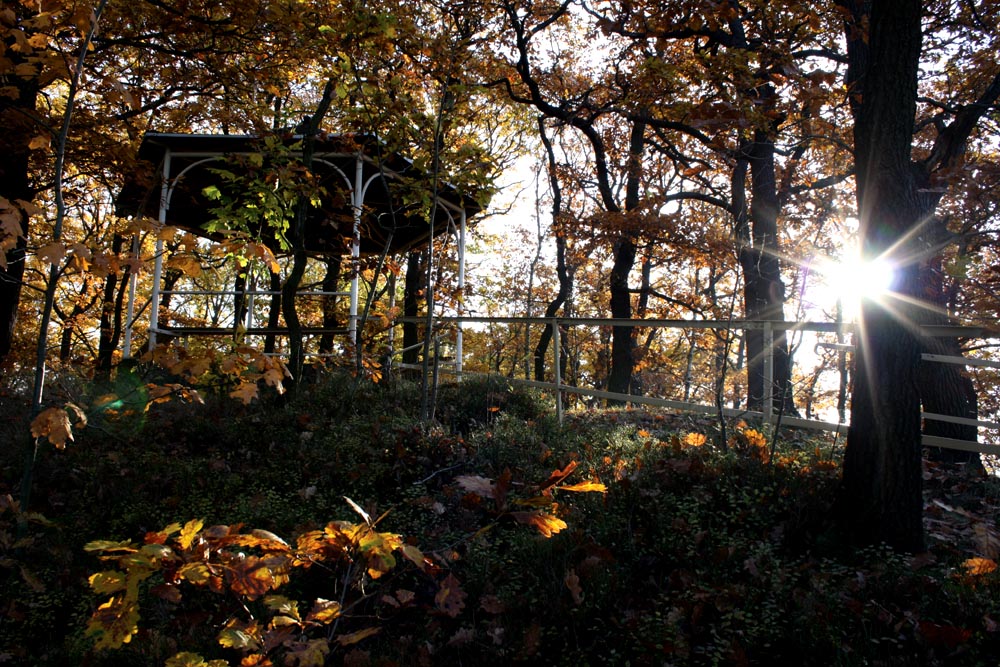 Pavillon im Licht