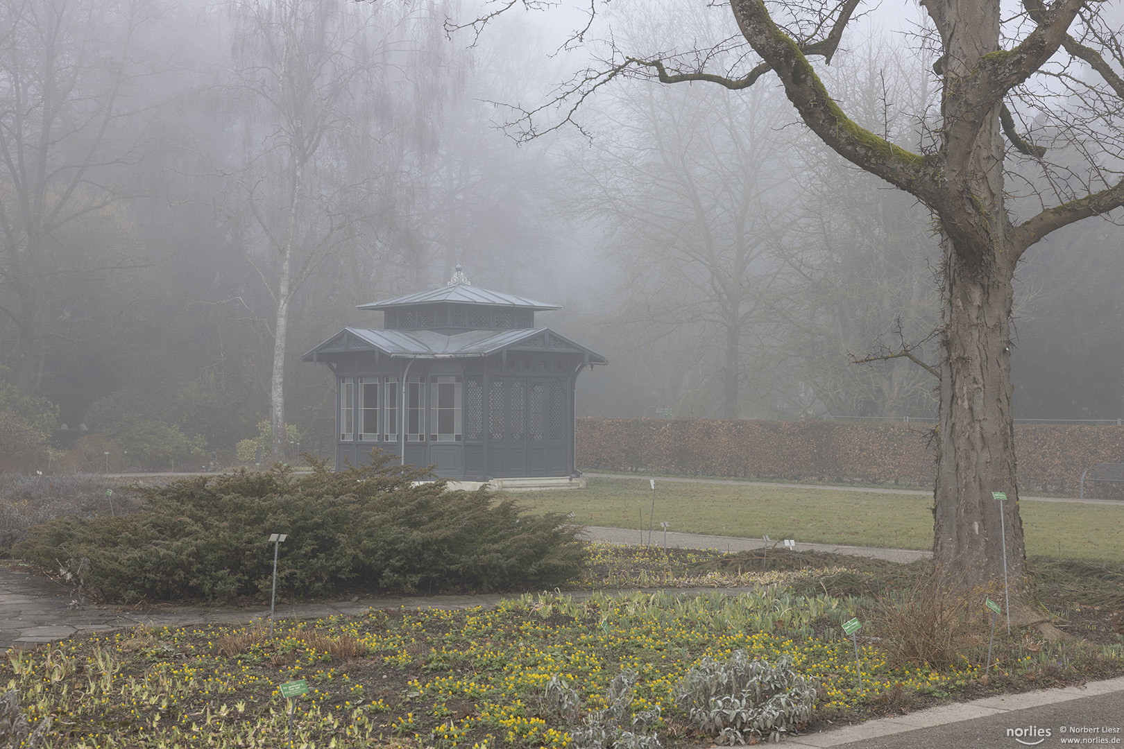 Pavillon im Nebel