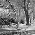 Pavillon im Park