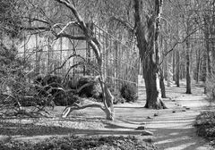 Pavillon im Park