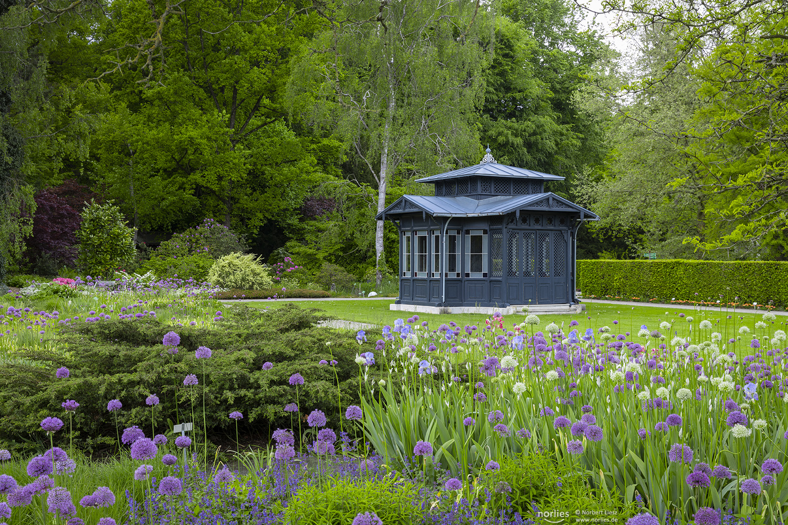 Pavillon im Sommer