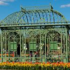 Pavillon in Hirschstetten in Frühling